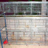 质保笼具** 9位兔笼   竹地板兔笼  青年兔笼    镀锌兔笼  质量保障